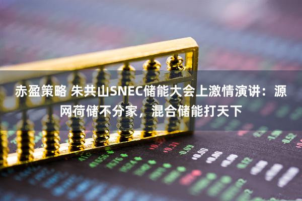 赤盈策略 朱共山SNEC储能大会上激情演讲：源网荷储不分家，混合储能打天下