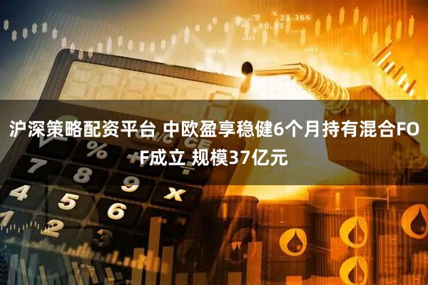 沪深策略配资平台 中欧盈享稳健6个月持有混合FOF成立 规模37亿元